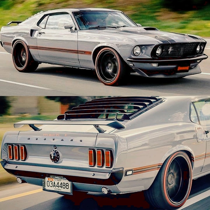 Mustang