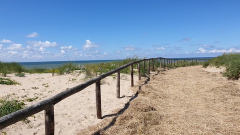 Dunes