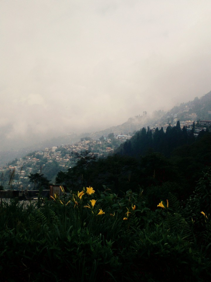 mountain