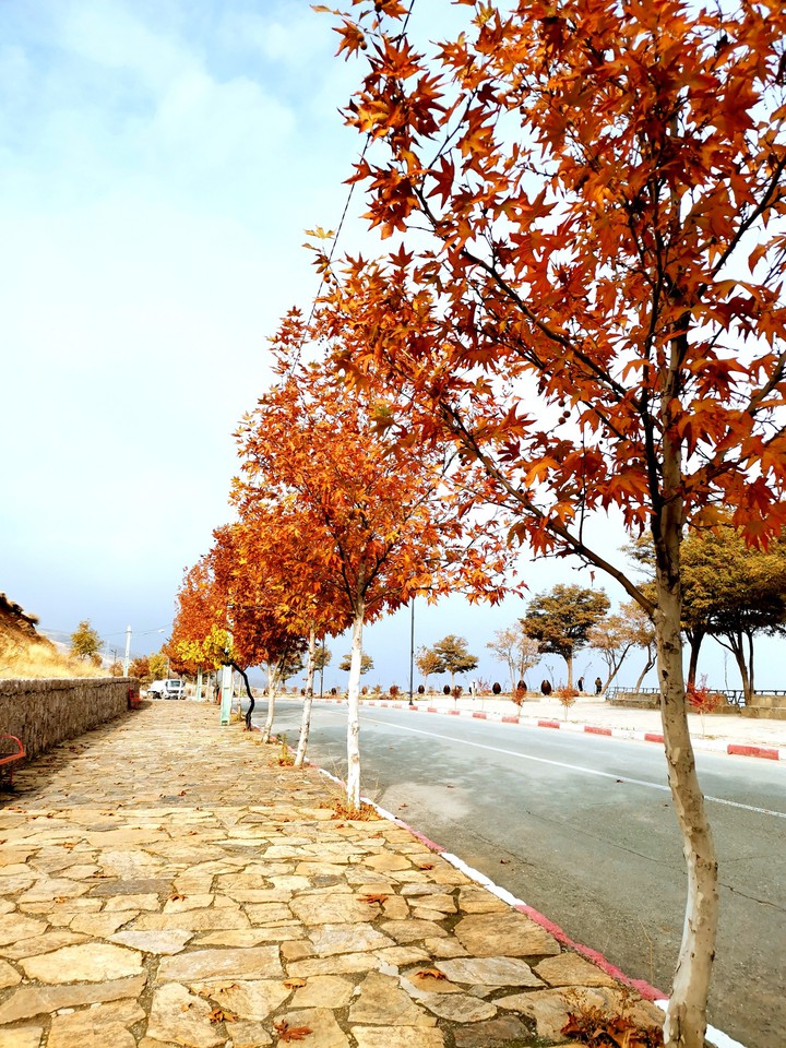 fall