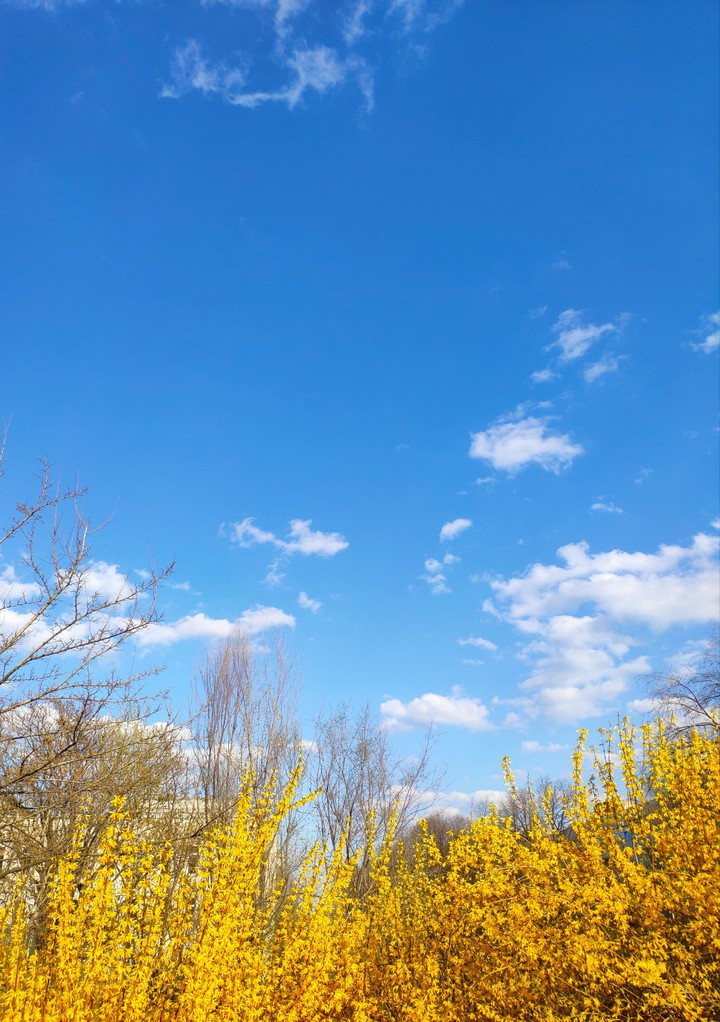 nature