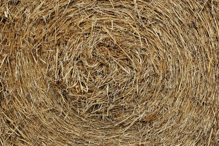 Farm