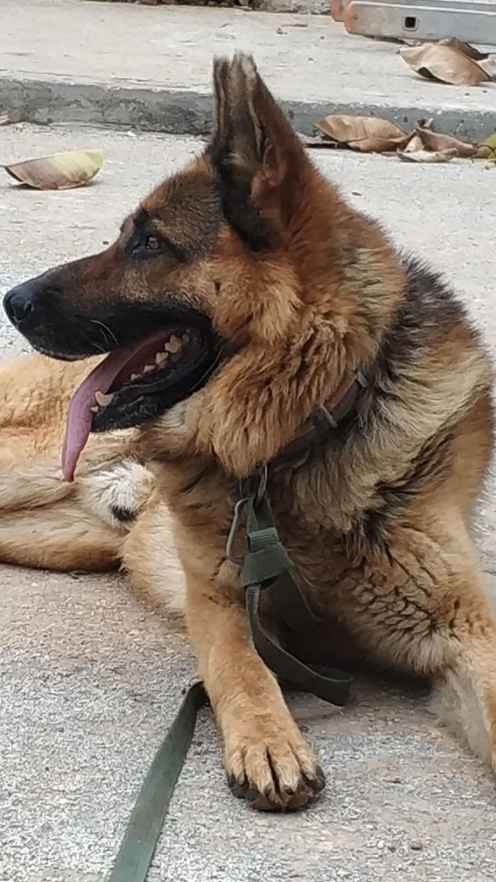 my Pasha,   :)