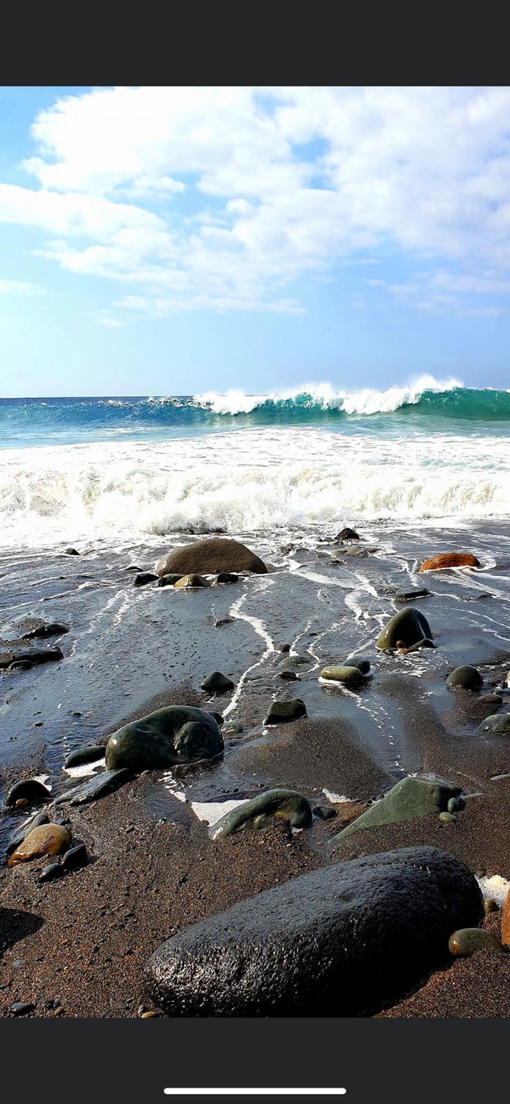 sea