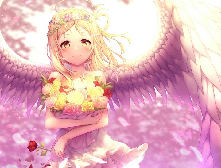 Anime  ~ girl