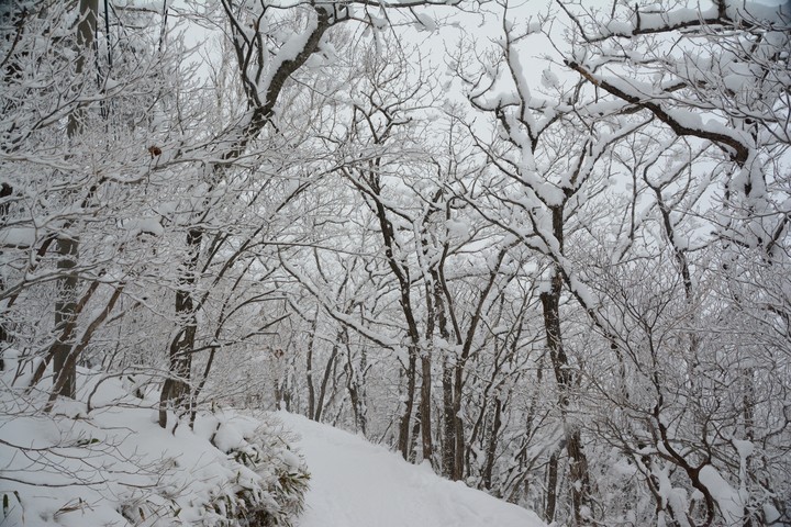태백산이미지