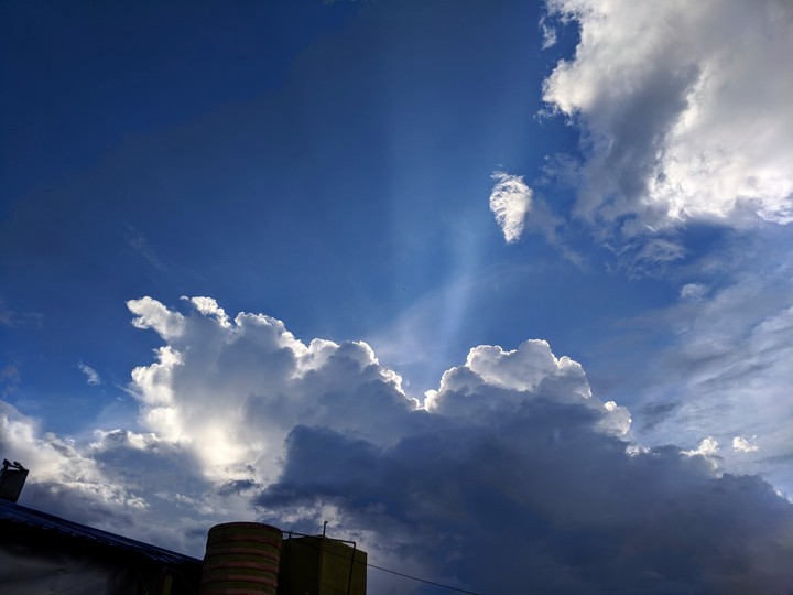 The sunbeams