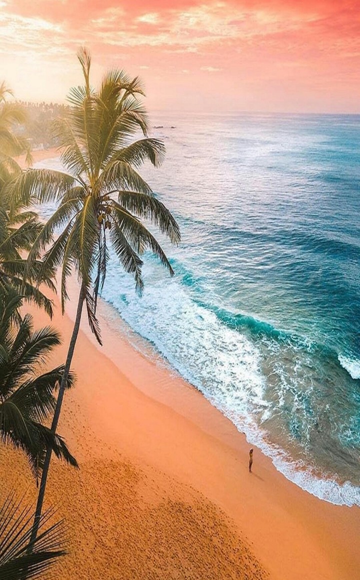 enjoy the sea