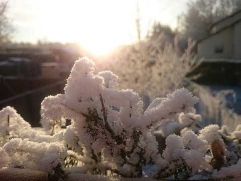 Snow