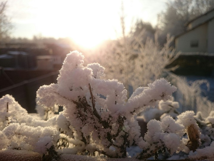 Snow