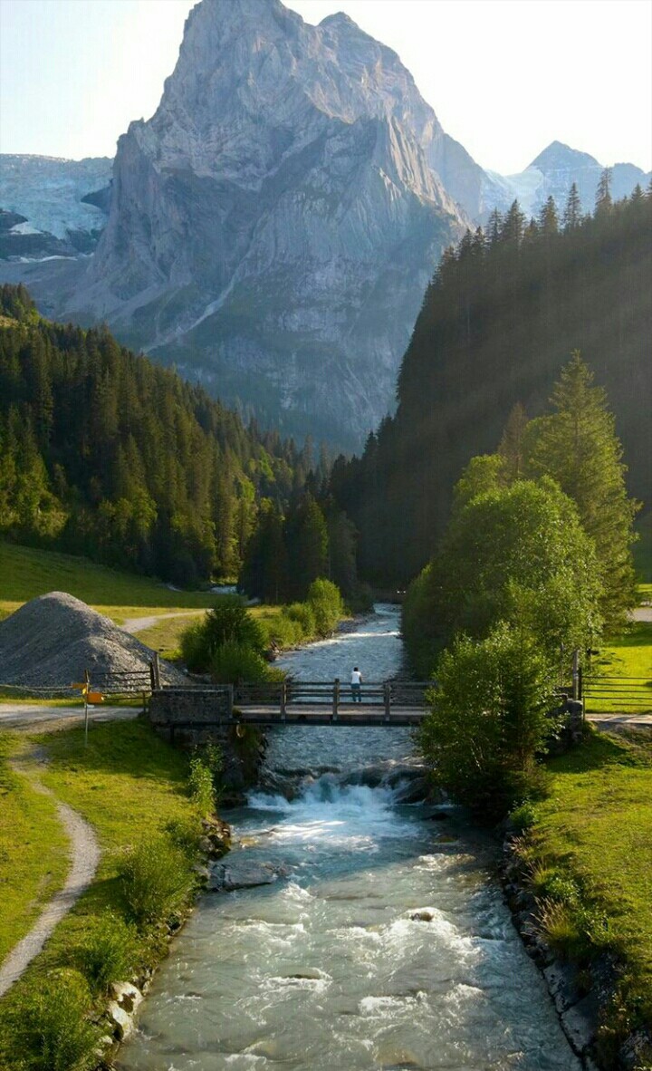 Spring nature