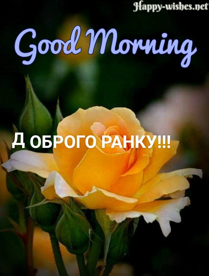 еоо