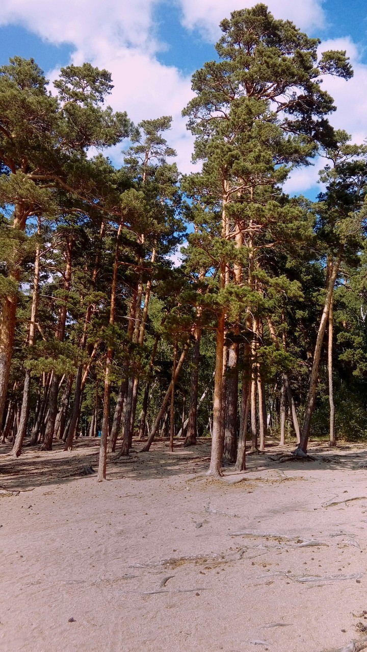 beach