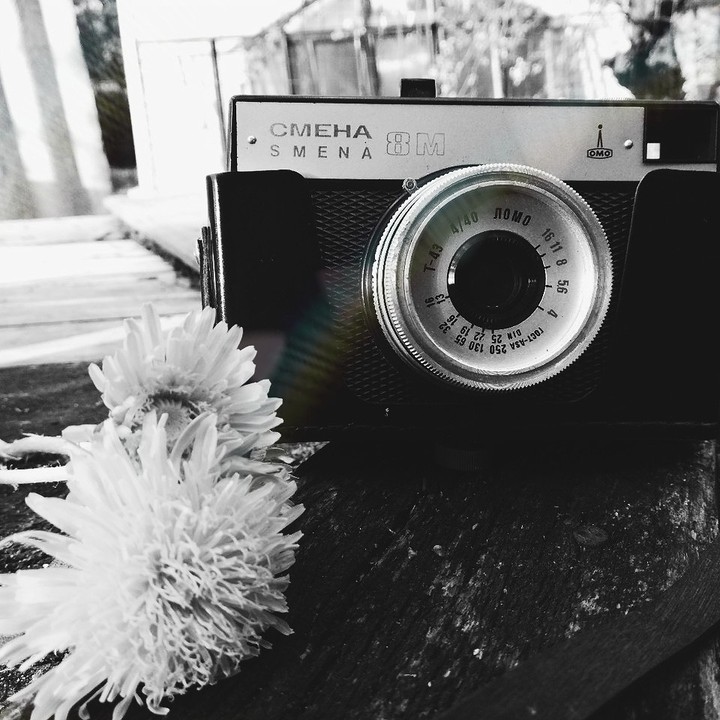 photo