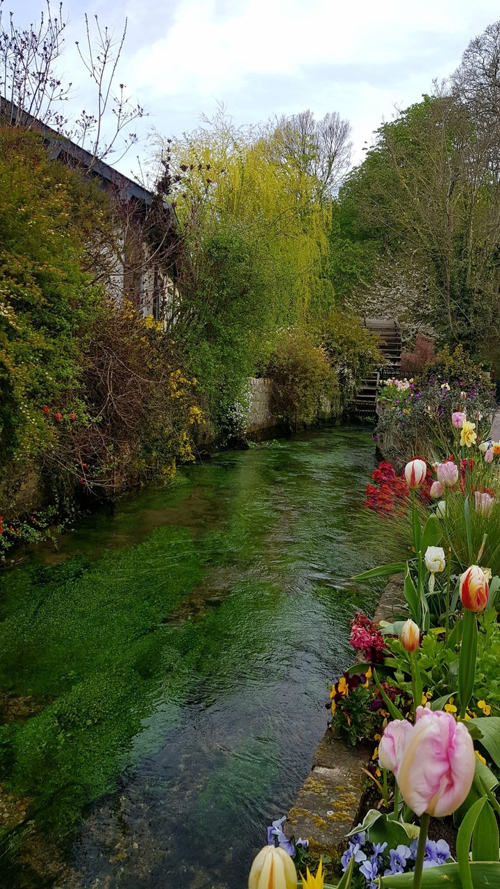 Veules les Roses