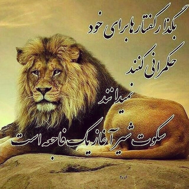 سلطان جنگل