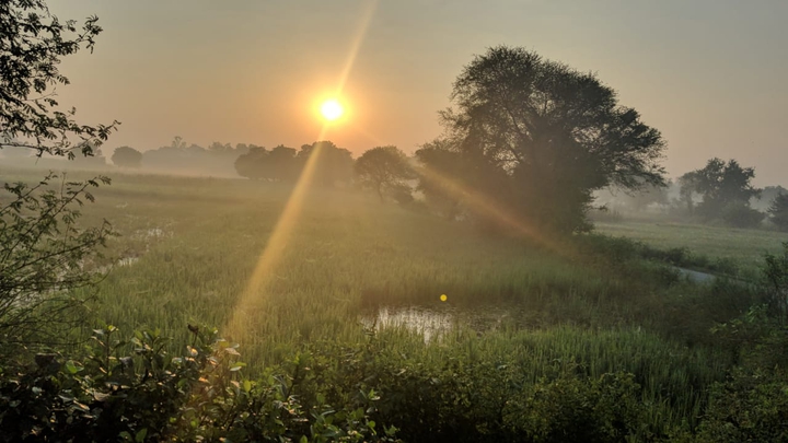 sunrise in a village