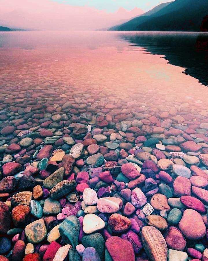 Paz