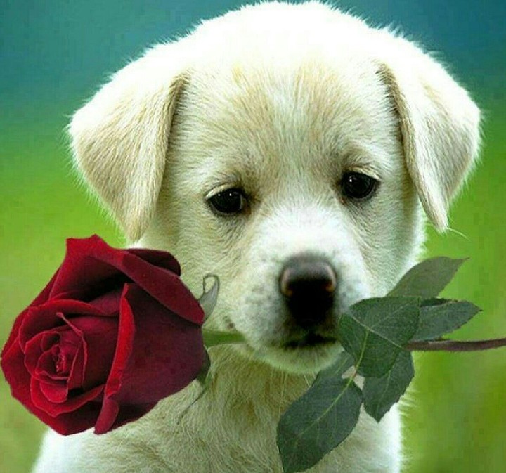 My baby ?