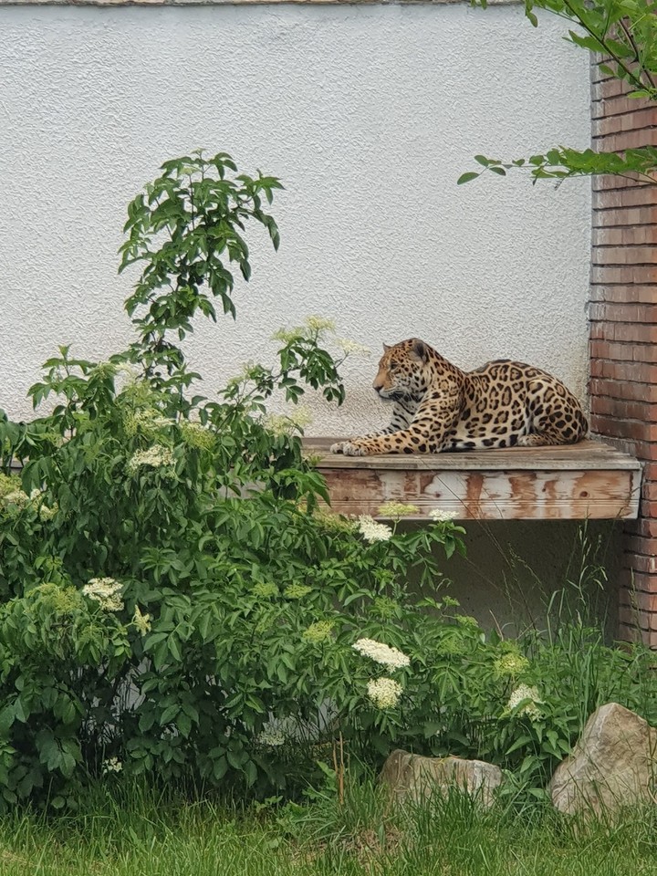 Zoo