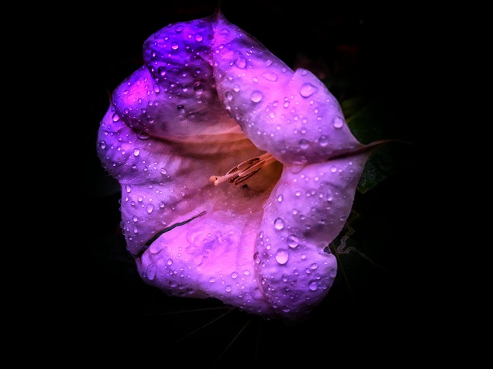 Trip_00_graphy