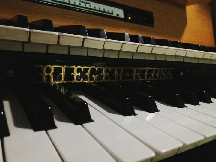 Organ