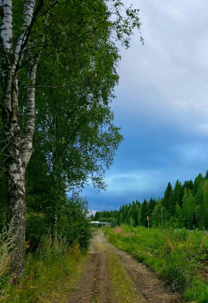 Finnish summer