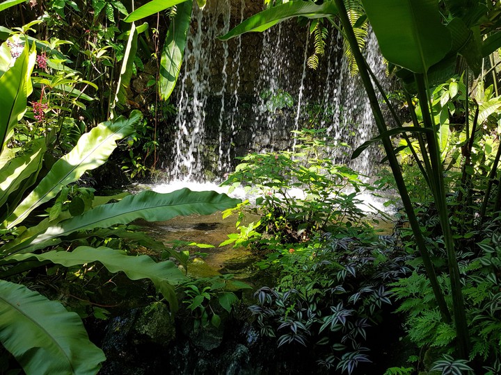 waterfall