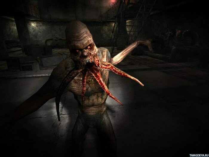 Stalker wallpaper