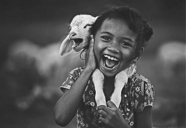 happiness❤