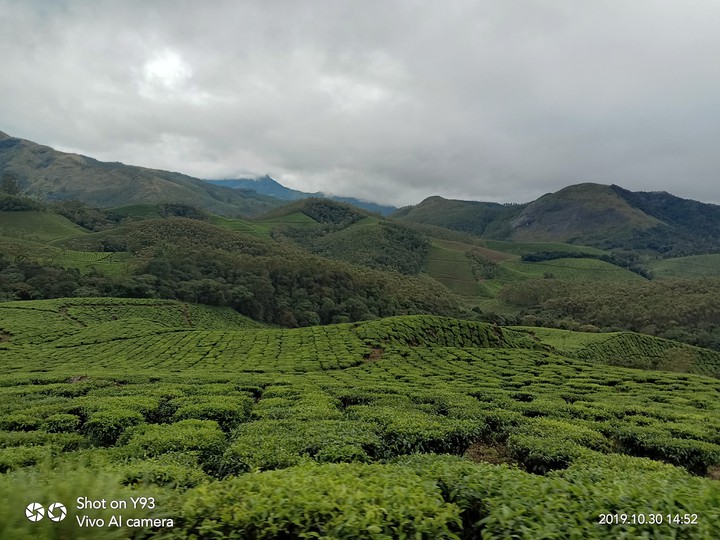 Kerela Munnar