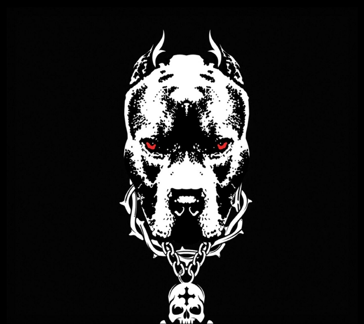 Cool Dog