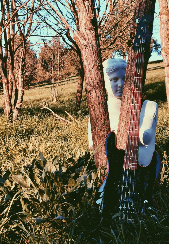 Venus on bass