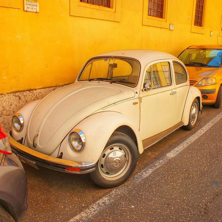 Beetle