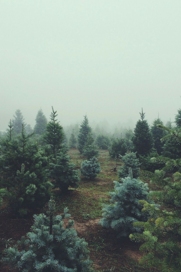 The winter is coming