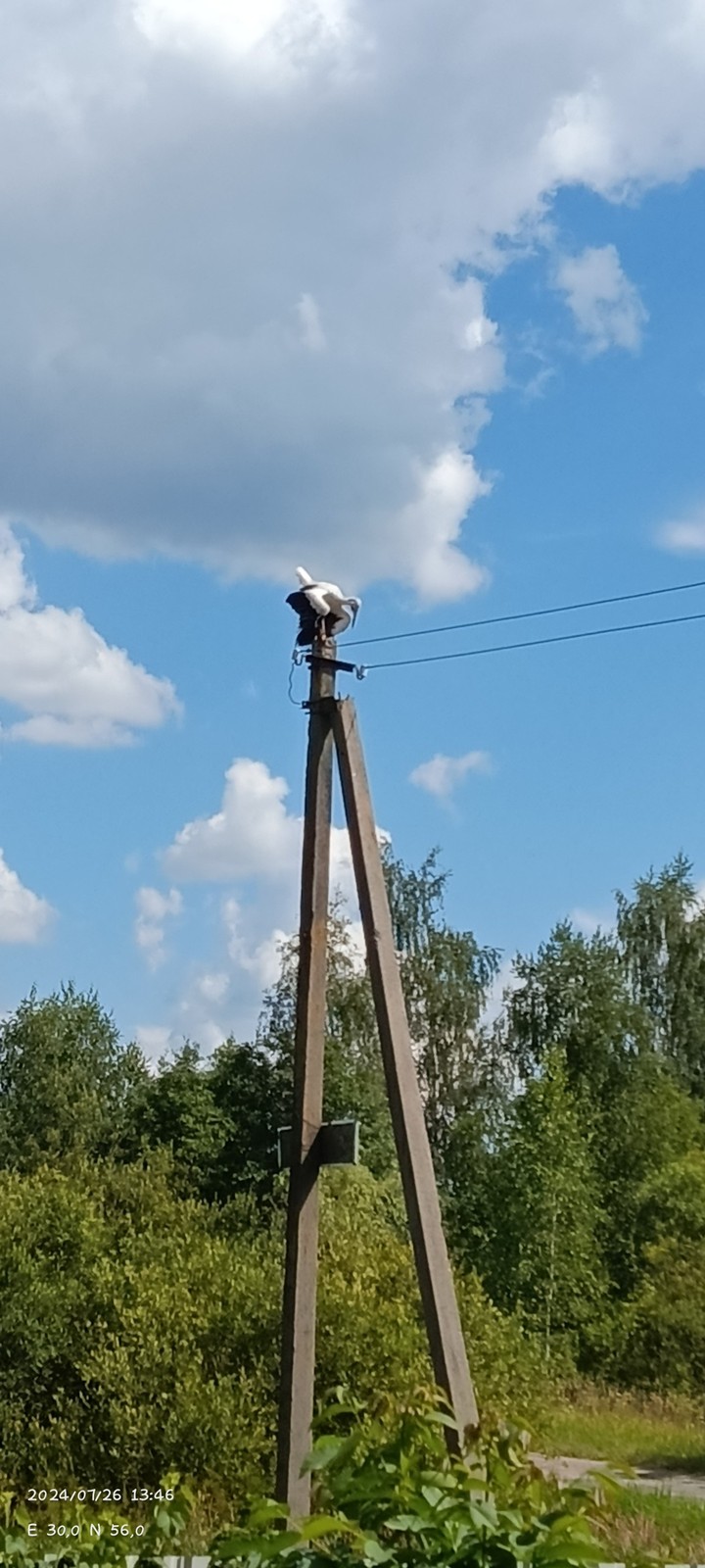 .