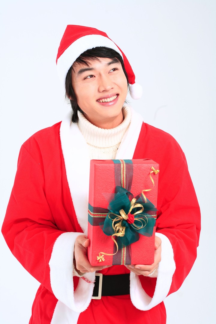 Christmas Costume