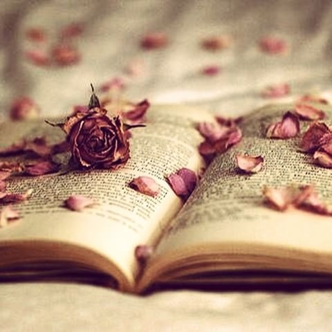 Love book