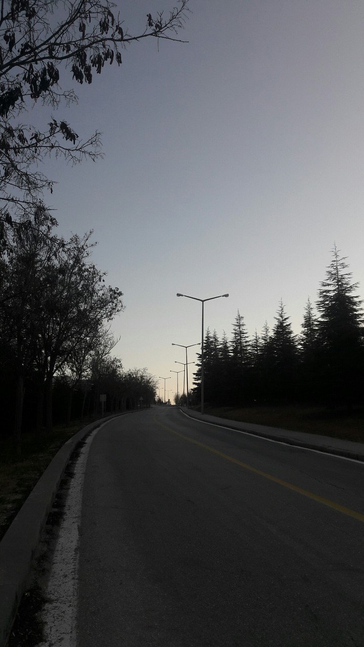 Road in Sunset