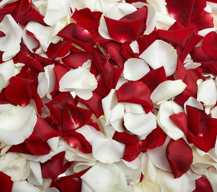 Rose Petals