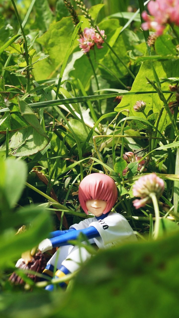 Haruichi Kominato