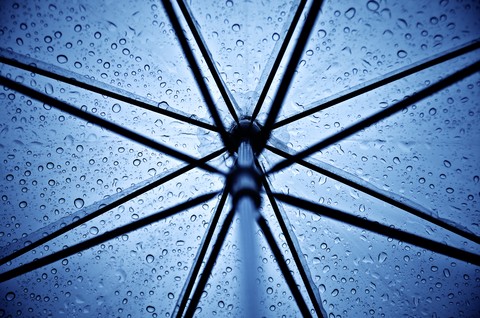 Rainy Day