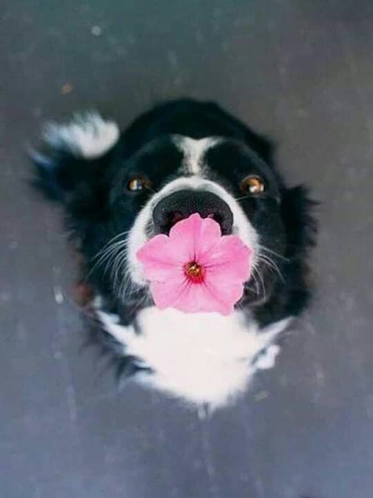 ❤