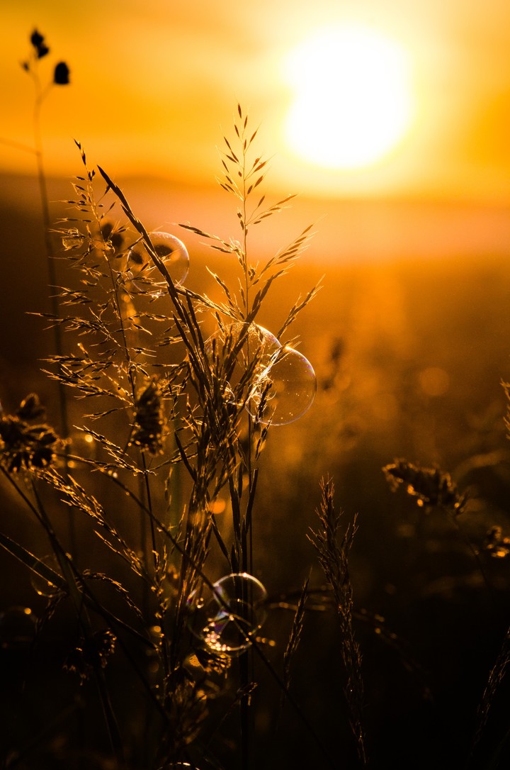 dawn