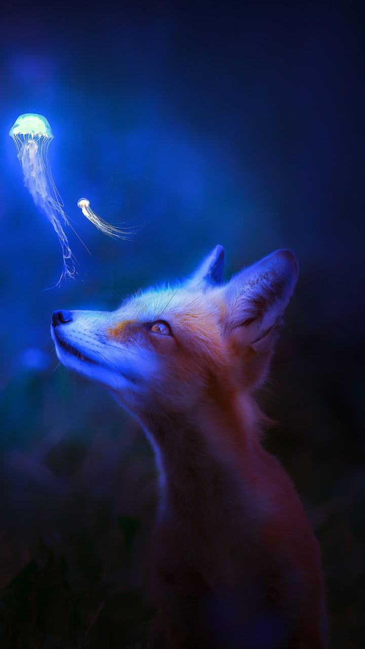 ♥