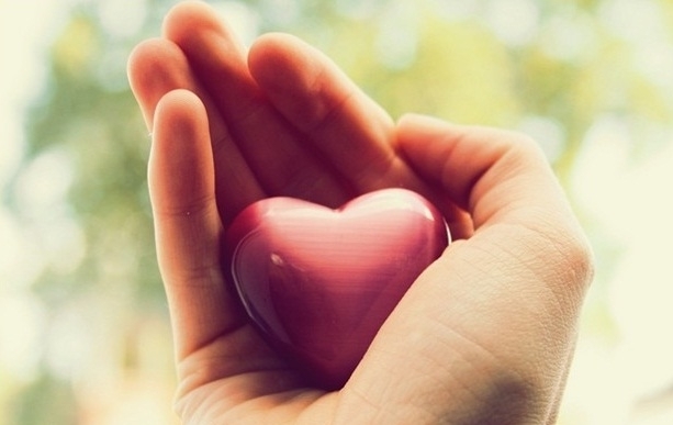 give love❤