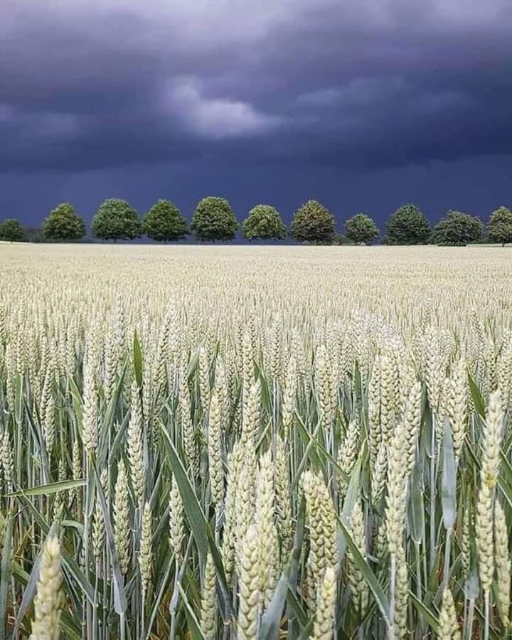 Nature :)