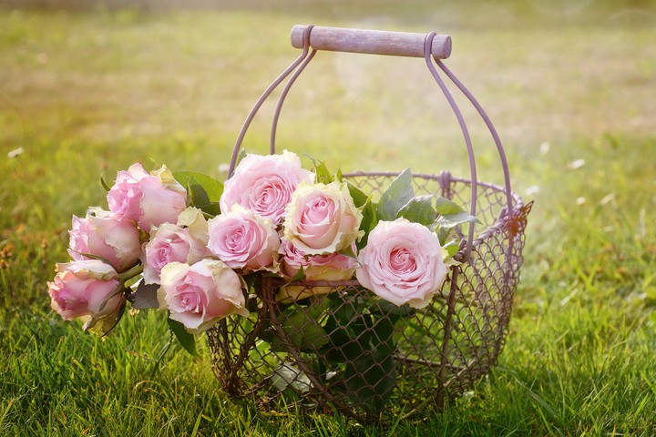 Spring flowers