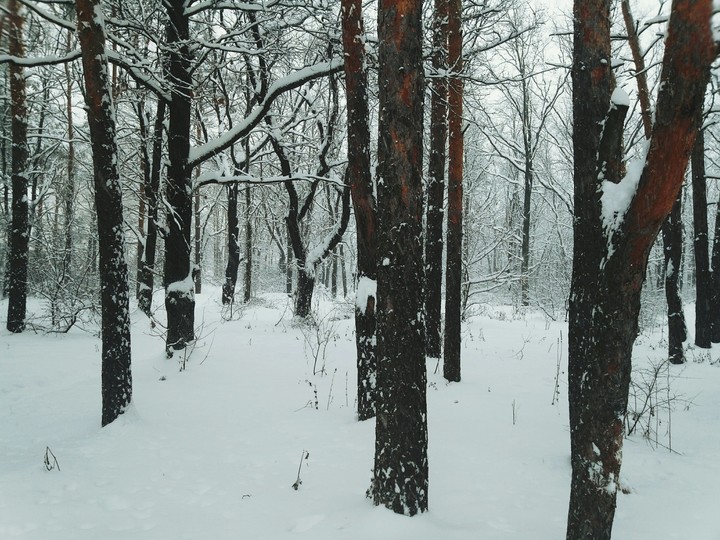 First snow