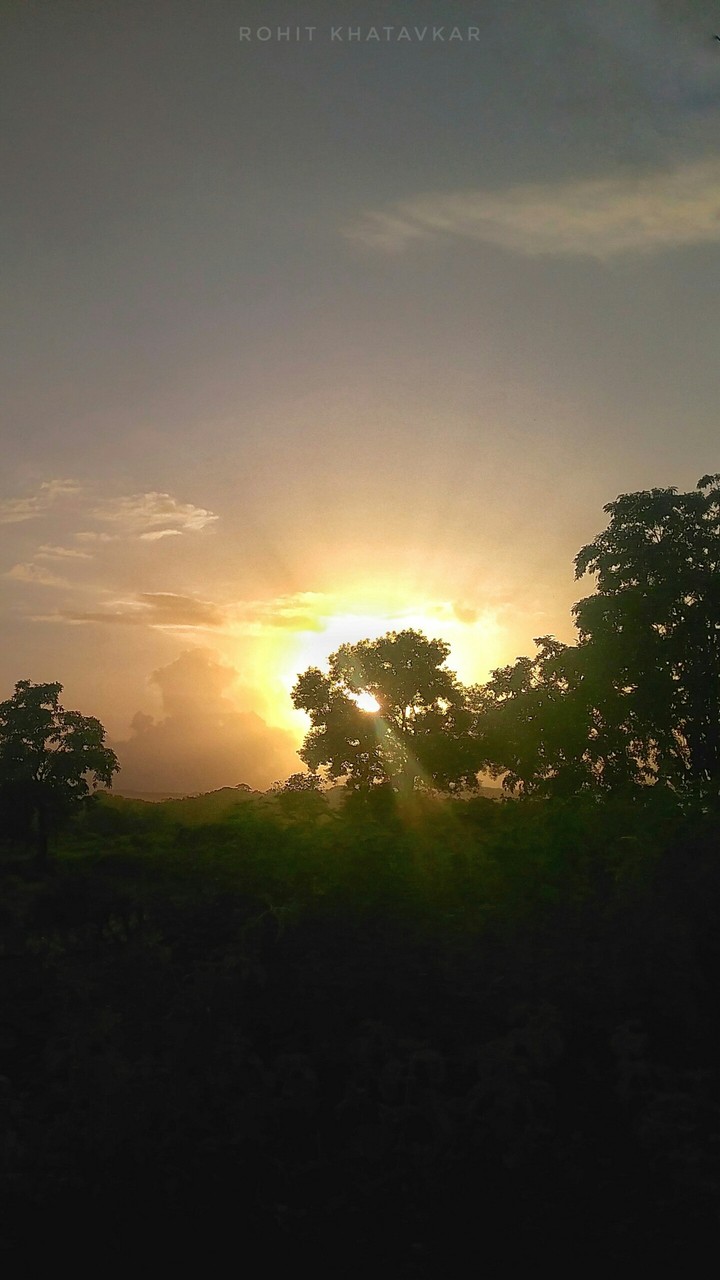 Sun rays